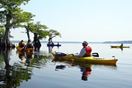 Image of person in Kayak